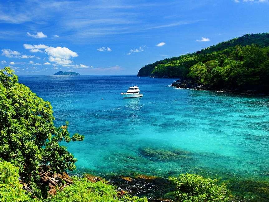 沪江开心词场